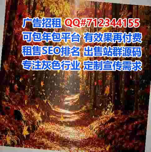 双塔生子大数据公司